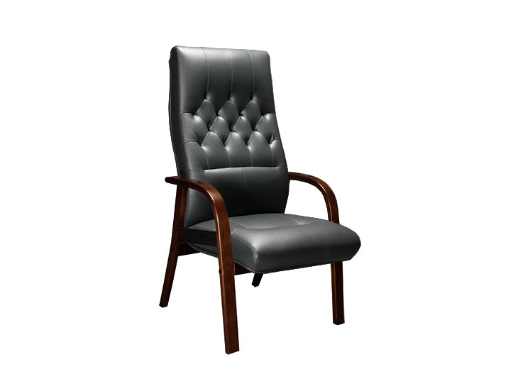 Чиф ДPlus (Chief DPlus) CHF37150001.jpg